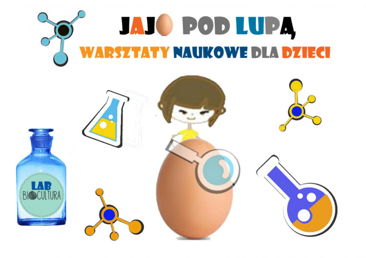 Jajo pod lupą