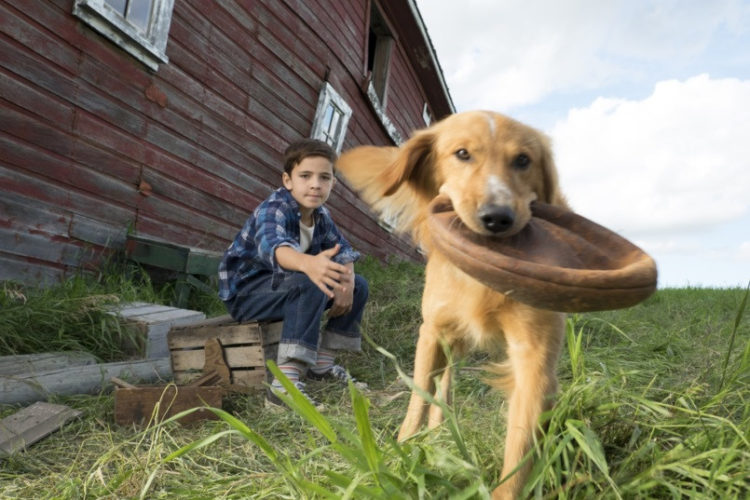 Filmowy piknik – od dzieci i dla dzieci już 16 czerwca na warszawskim Służewie!