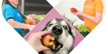 Rusza nowy program Tesco „Duża pomoc dla małych przyjaciół” w województwie mazowieckim