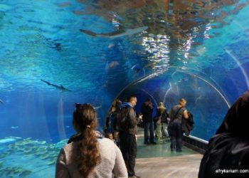 AFRYKARIUM – Życiodajne Wody Afryki