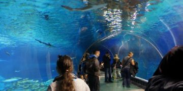 AFRYKARIUM – Życiodajne Wody Afryki