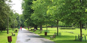 RODZINNE WARSZTATY CERAMICZNE