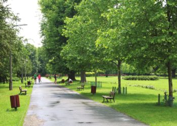 WOLĘ PÓJŚĆ NA WOLĘ – CYKL SPACERÓW PO PRZESZŁOŚCI I PRZYSZŁOŚCI DZIELNICY.