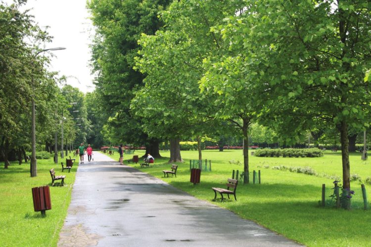 WOLĘ PÓJŚĆ NA WOLĘ – CYKL SPACERÓW PO PRZESZŁOŚCI I PRZYSZŁOŚCI DZIELNICY.