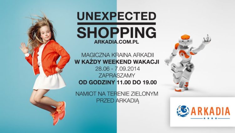 Magiczna Kraina Arkadii, czyli letni piknik na temat lotnictwa