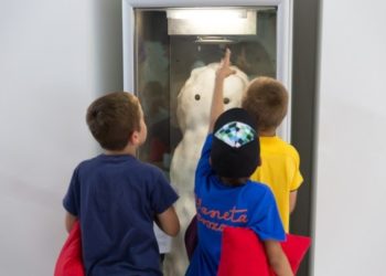 Warsztaty młodego kolekcjonera