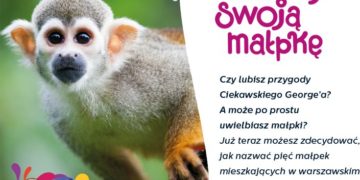 RUSZYŁO GŁOSOWNIE NA IMIONA DLA MAŁPEK W WARSZAWSKIM ZOO