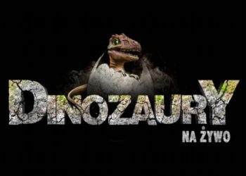 Spełniamy marzenia Spotkanie z aktorką Julią Wróblewską na wystawie „Dinozaury na żywo”!