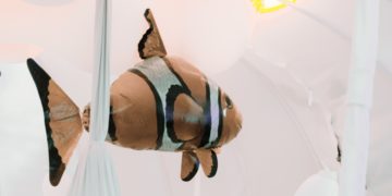 MaMoMi w Nowym Teatrze