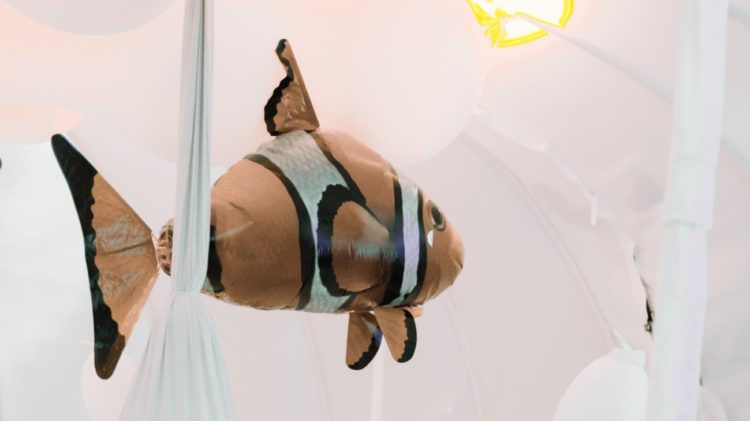 MaMoMi w Nowym Teatrze