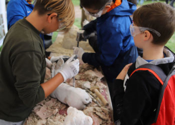 XXIII Festiwal Nauki „Nauka z Pałacem w tle”