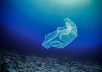 MIKROplastik, MAKRO zagrożenie