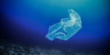 MIKROplastik, MAKRO zagrożenie