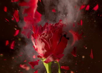 Hopsaska zaprasza dzieci na eksperymenty