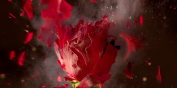 Hopsaska zaprasza dzieci na eksperymenty