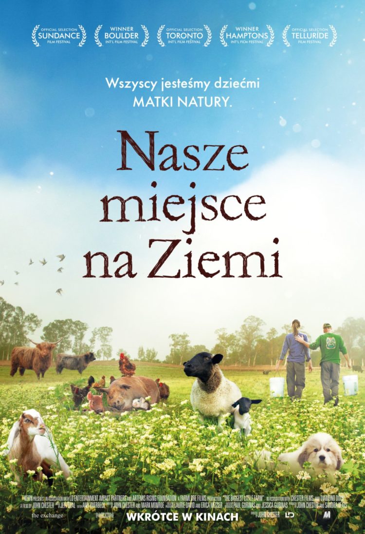 NASZE MIEJSCE NA ZIEMI