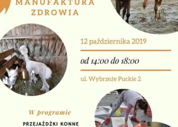 Piknik Rodzinny 12 X – Fundacja Pociechom