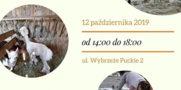 Piknik Rodzinny 12 X – Fundacja Pociechom