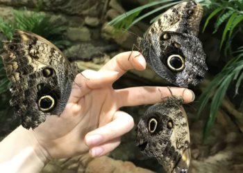 Top 10 warszawskich atrakcji na zimowe ferie szkolne