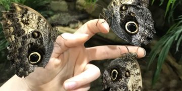 Top 10 warszawskich atrakcji na zimowe ferie szkolne