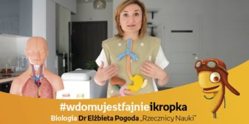 Warsztaty on-line dla dzieci – Przecinek i Kropka