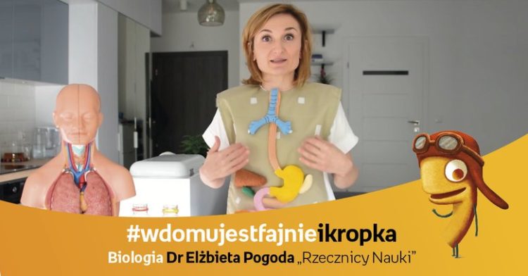Warsztaty on-line dla dzieci – Przecinek i Kropka