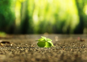 Zmieniajmy życie małymi krokami