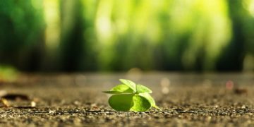 Zmieniajmy życie małymi krokami