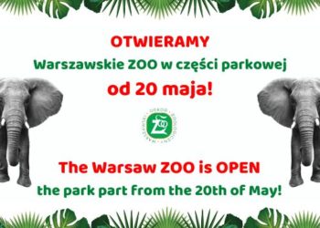 Warszawskie ZOO znowu otwarte