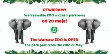 Warszawskie ZOO znowu otwarte