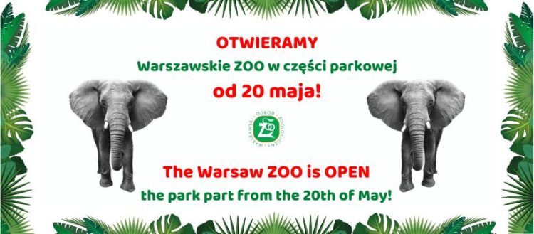 Warszawskie ZOO znowu otwarte