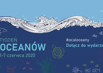 Tydzień Oceanów z WWF i Dzień Oceanów z MSC Polska