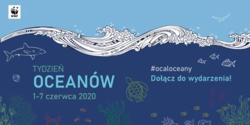 Tydzień Oceanów z WWF i Dzień Oceanów z MSC Polska