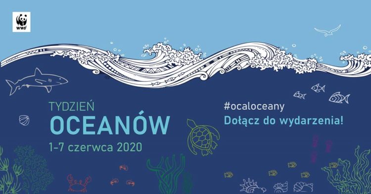 Tydzień Oceanów z WWF i Dzień Oceanów z MSC Polska