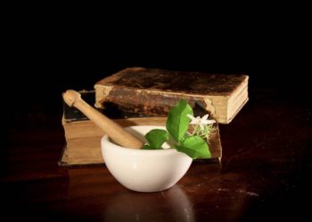 Domowe środki na ukąszenia komarów