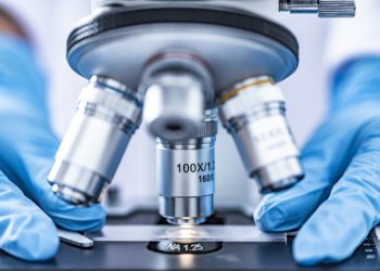 24. Festiwal Nauki w Warszawie – jeszcze można wziąć udział on-line