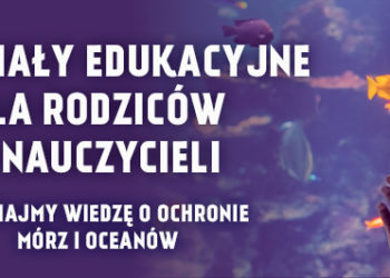 Jak zaangażować dzieci i młodzież w ochronę oceanów? Propozycje od MSC