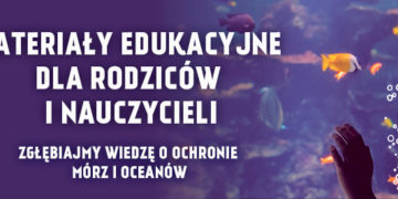 Jak zaangażować dzieci i młodzież w ochronę oceanów? Propozycje od MSC