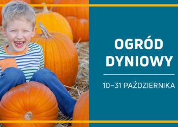 Ostatnie dni „Ogrodu Dyniowego” w Galerii Północnej