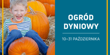 Ostatnie dni „Ogrodu Dyniowego” w Galerii Północnej