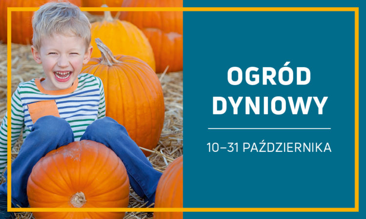 Ostatnie dni „Ogrodu Dyniowego” w Galerii Północnej