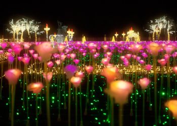 Już za parę dni – Królewski Ogród Światła w Wilanowie