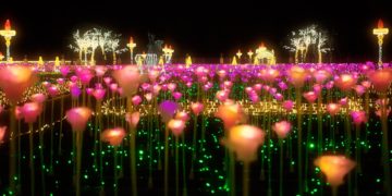 Już za parę dni – Królewski Ogród Światła w Wilanowie