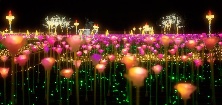 Już za parę dni – Królewski Ogród Światła w Wilanowie