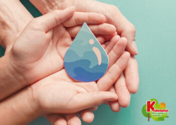 Domowa ekonologia, czyli proste rady, jak dbać o środowisko, a przy tym oszczędzać pieniądze