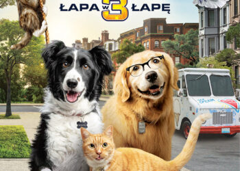 Psy i koty 3: Łapa w górę. Premiera DVD już 19 maja