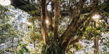 Wiesz czym są ogrody deszczowe? Powiemy Ci dlaczego są one ważne dla naszego ekosystemu!