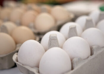 70 proc. Polaków woli kupować jaja z wolnego wybiegu