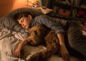 Jak rozmawiać z psem