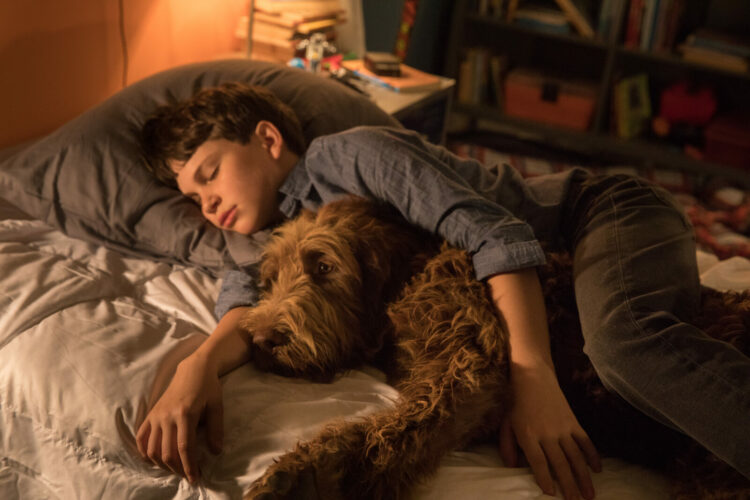 Jak rozmawiać z psem